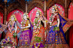 Daily Darshan