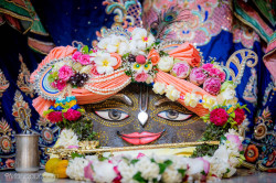 Daily Darshan