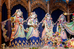 Daily Darshan