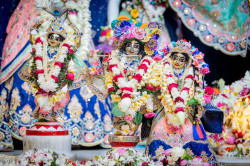 Daily Darshan