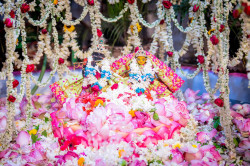 Daily Darshan