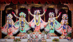 Daily Darshan