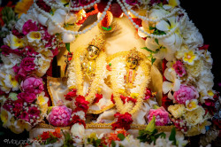 Daily Darshan