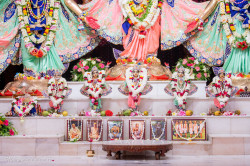 Daily Darshan