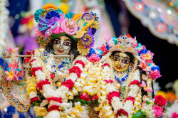 Daily Darshan