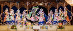 Daily Darshan