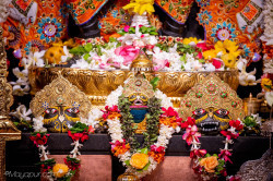 Daily Darshan