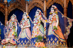Daily Darshan