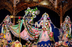 Daily Darshan