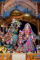 Daily Darshan