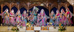 Daily Darshan