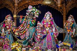 Daily Darshan