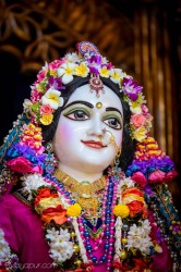 Daily Darshan