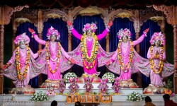 Daily Darshan