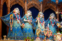 Daily Darshan
