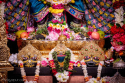 Daily Darshan