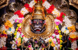Daily Darshan