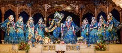 Daily Darshan