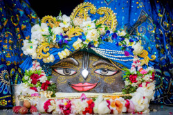 Daily Darshan