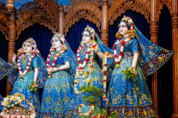 Daily Darshan