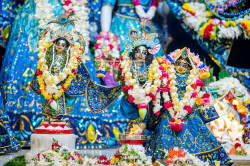 Daily Darshan