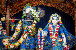 Daily Darshan