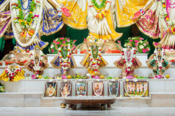 Daily Darshan