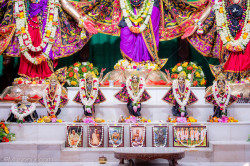 Daily Darshan