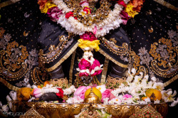 Daily Darshan