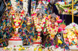 Daily Darshan
