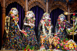 Daily Darshan