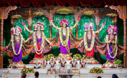 Daily Darshan