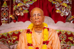 Daily Darshan
