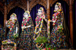 Daily Darshan