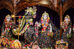 Daily Darshan