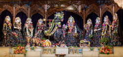 Daily Darshan