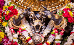 Daily Darshan