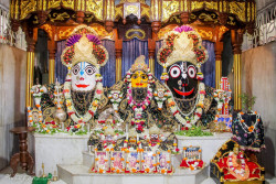 Daily Darshan