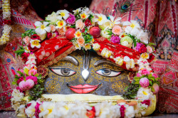 Daily Darshan