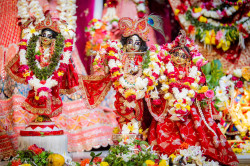 Daily Darshan