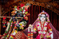 Daily Darshan