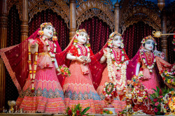 Daily Darshan