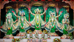 Daily Darshan