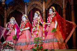 Daily Darshan