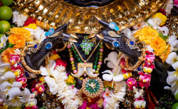 Daily Darshan