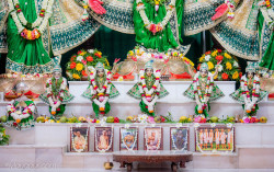 Daily Darshan