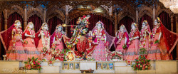 Daily Darshan