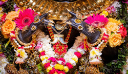 Daily Darshan