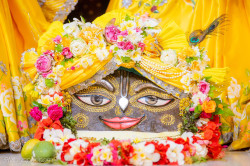 Daily Darshan