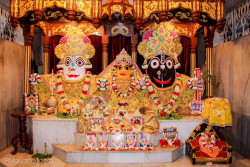 Daily Darshan